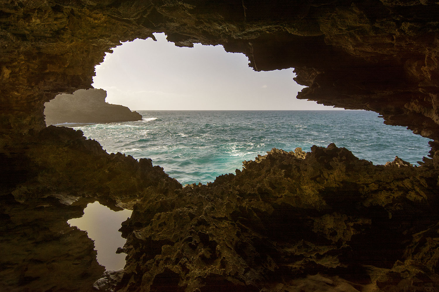 animal flower cave, Barbados, Dagtrip, Vakantie, Activiteiten